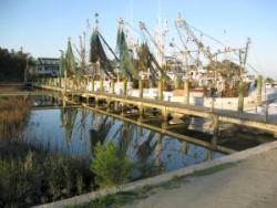 Frigate Marine Surveys