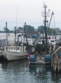 Frigate Marine Surveys