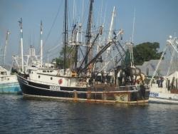 Frigate Marine Surveys